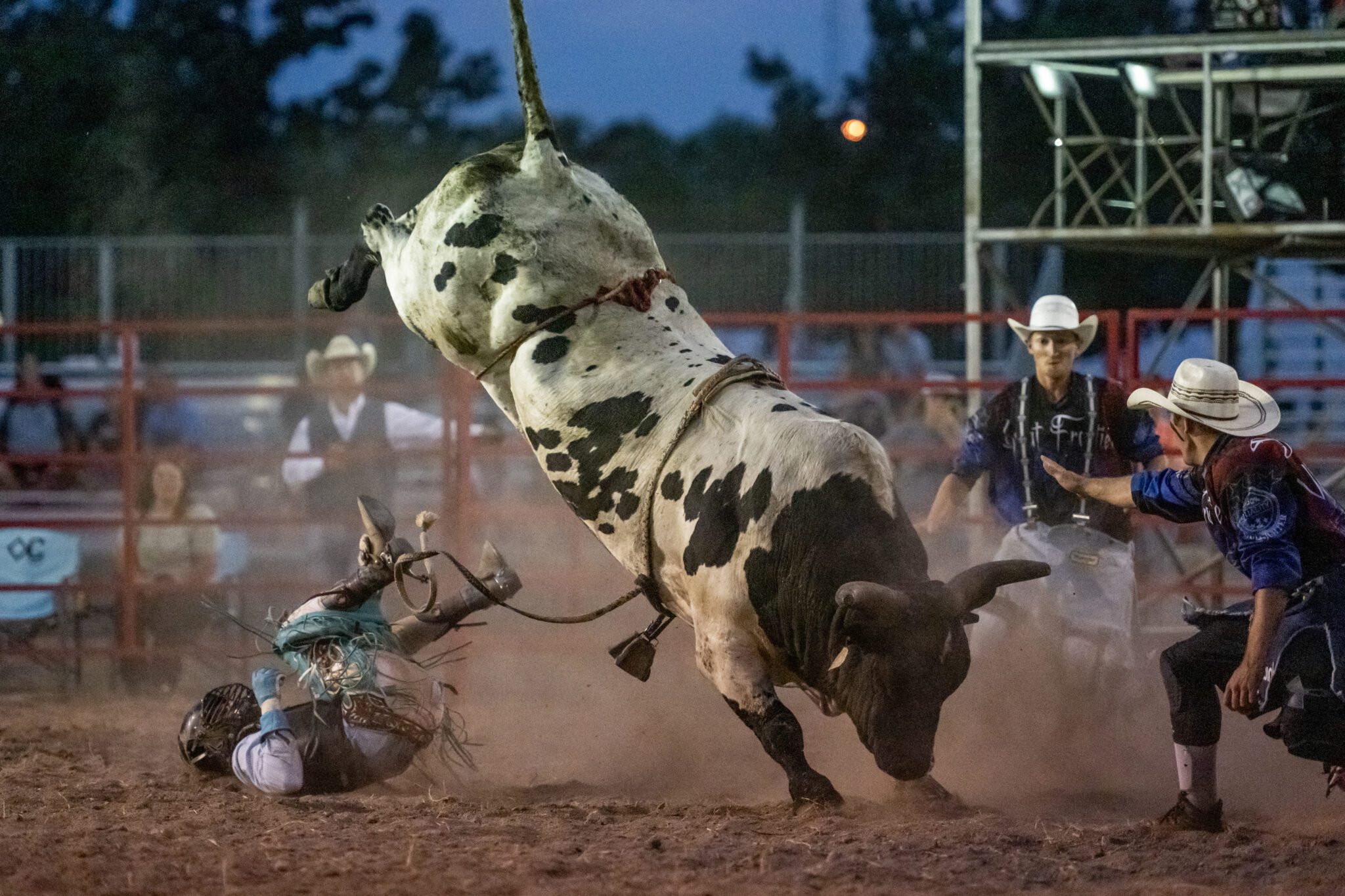 Bull Riding Waseca County Free Fair Waseca, MN